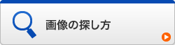 画像の探し方